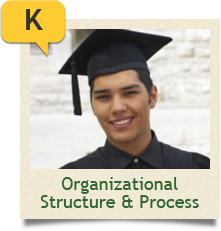 Organizational Structure and Culture